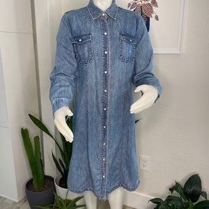GAP Button-Down Denim Dress